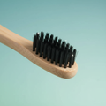 10PC Bamboo Charcoal Brush